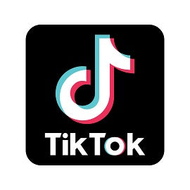 How we make it - the creators on TikTok!