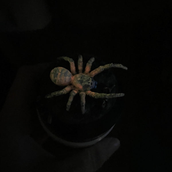 Phase Spider - Glow in the Dark