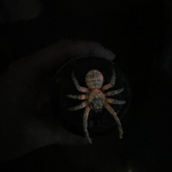 Phase Spider - Glow in the Dark