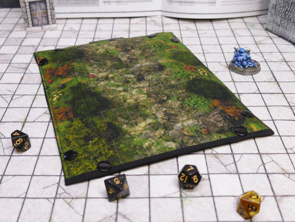 Abandoned Crypt Battle-map Dice Tray